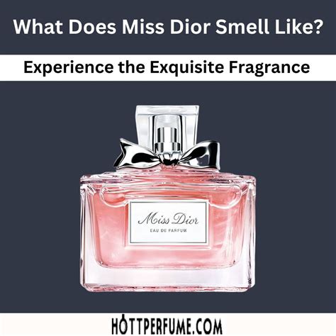 miss dior perfume scent notes|Miss Dior smell like.